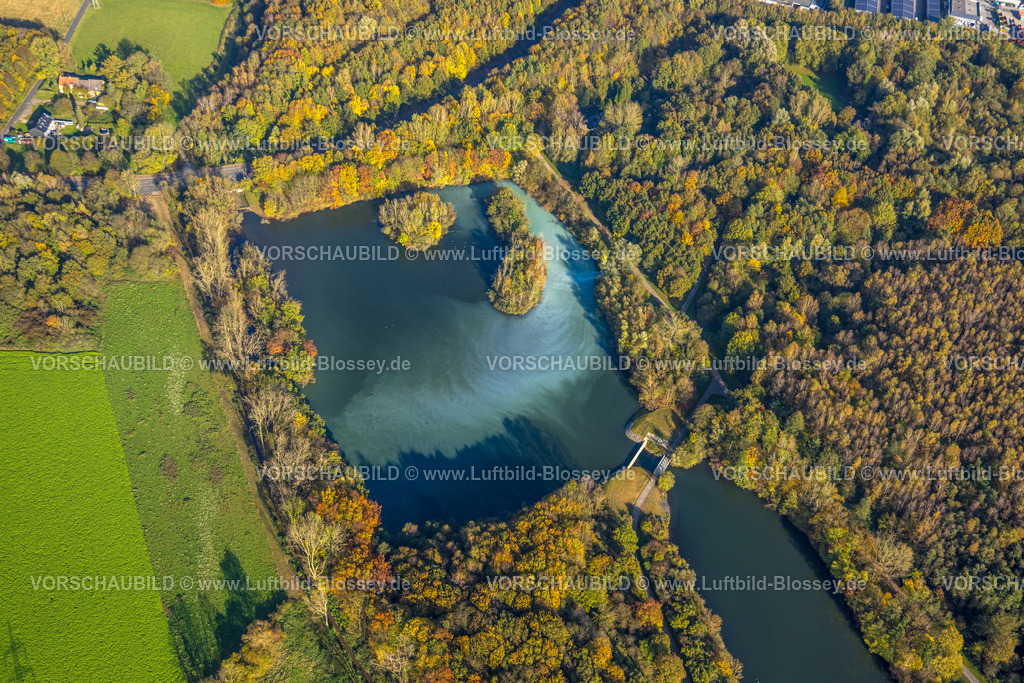 Bochum241017228 | Luftbild, Harpener Teiche und herbstliche Bäume, Harpen, Bochum, Ruhrgebiet, Nordrhein-Westfalen, Deutschland