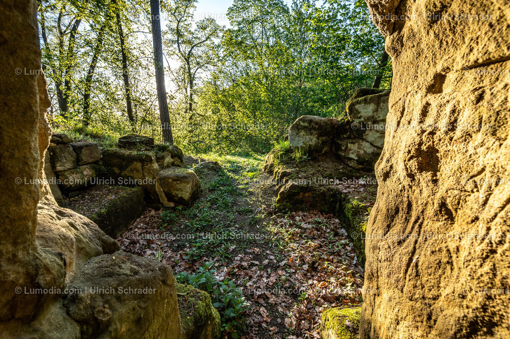 10049-14008 - In den Spiegelsbergen - Halberstadt | Stockfoto und Bilderpool mit Bildmaterial aus Deutschland, dem Harz, Halberstadt, Quedlinburg, Wernigerode und weltweit. Qualitativ hochwertige und professionelle Fotos anschauen und kaufen. - Realisiert mit Pictrs.com