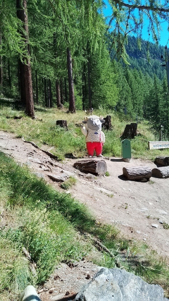 IMG_20250628_155220_HDR | zermatt-wallis-berge-und-mehr - Realisiert mit Pictrs.com