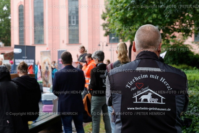20240727-_11A4598-tierheime-HEN-FOTO | 27.07.2024 Tierheime am Limit, sie sind zum Beispiel in Bingen und Mainz voll. Aufnahmestopp teils bundesweit. Deutscher Tierschutzbund ruft in Mainz zur Protestkundgebung für mehr Geld auf, prangert aber auch verantwortungslose Züchter und Tierhalter an. Tierschutz Tierwohl Tierleid Tierverantwortung (Foto: Peter Henrich) - Realisiert mit Pictrs.com
