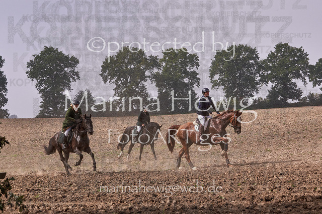 09-23 Jagd Perdöl_MCH9835_Marina Hewig | Fotografie, FotoArt, PferdesportArt, Pferdesportfotografie, Landschaftsfotografie, Reisefotografie, Reise, Pferde - Realisiert mit Pictrs.com