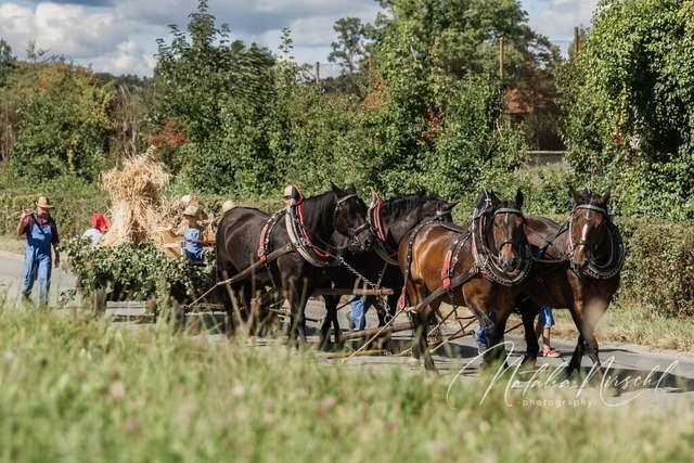 7V6A1925 | natalia-nirschl-photography