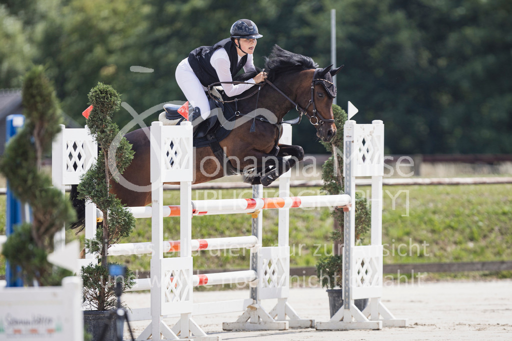 250629_PfSpTa_L-Spr2-400 | Deine schönsten Turniermomente als professionelle Fotos! Entdecke hochwertige Pferdesport-Fotografie im Online-Shop. Jetzt Fotos finden & bestellen!