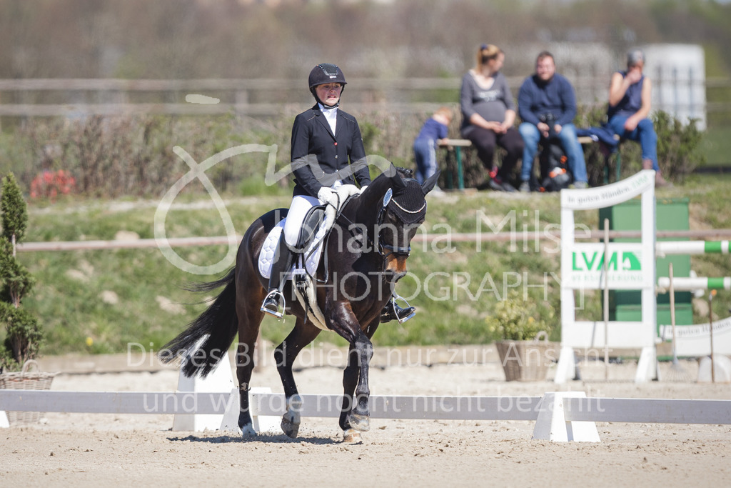 220418_L-Dressur-216 | Frühlingsfest der Pferde
Herford
18.April 2022
Dressurprfg. Kl.L* - Tr. L2ausw. geschlossen