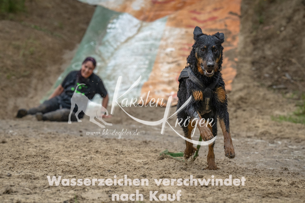 1459_ZZ93595-Bearbeitet | kk-dogfotos