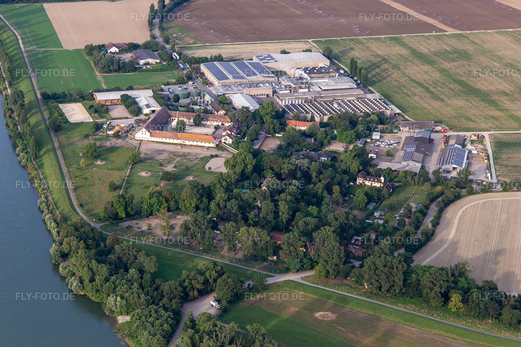 Luftbild: Intersnack Deutschland SE Werk Petersau und Reitanlage Carlo von Opel im Ortsteil Mörsch in Frankenthal im Bundesland Rheinland-Pfalz in Deutschland.Foto: IMG_142757.jpg vom 19.07.2024 durch Werner Riehm/FLY-FOTO.deWWW.INTERSNACK.DEWWW.HOFGUT-PETERSAU.DE