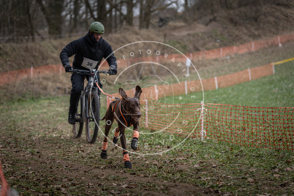Pfotenfotografie_DV3A9730 | Hundefotografie, Tierfotograf, Pfotenfotografie, Fotoshooting Hund, Hunde Portrait, Hundesport, Hundeportraits, Heideshooting, Hunde, Sportfotograf, Hundefotograf, Turnierhundsport, THS,  - Realisiert mit Pictrs.com