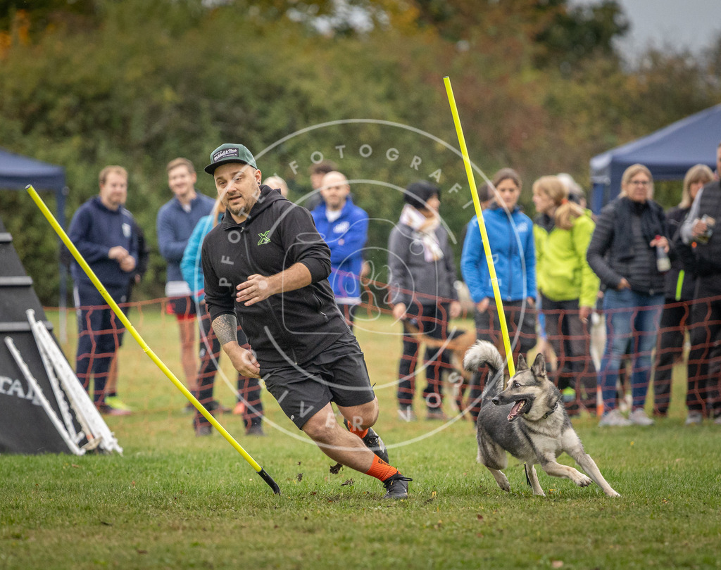 Pfotenfotografie_DV3A0095 | Hundefotografie, Tierfotograf, Pfotenfotografie, Fotoshooting Hund, Hunde Portrait, Hundesport, Hundeportraits, Heideshooting, Hunde, Sportfotograf, Hundefotograf, Turnierhundsport, THS,  - Realisiert mit Pictrs.com