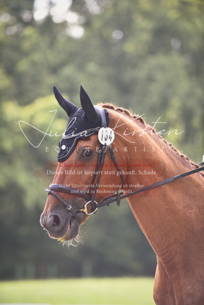DSC_0717 | Pferde- und Turnierfotografie in Westsachsen. Pferdeportraits, Auftragszeichnungen und intuitive Kunst.