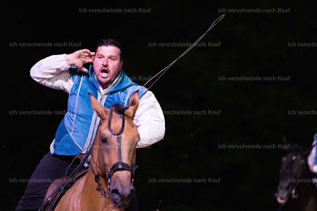 Gala-573 | working equitationturnier fotograf videograf stoibphotography marixx film working equitation deutschland reitsport turnierfotografie eventfotografie equestrian events
