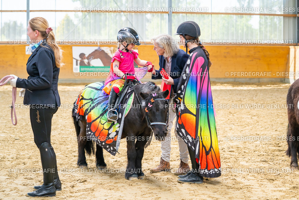 DSC00801 | Pferdegrafie