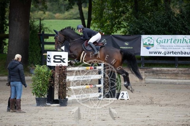 2B4A3564 | pixelfaenger - Realisiert mit Pictrs.com