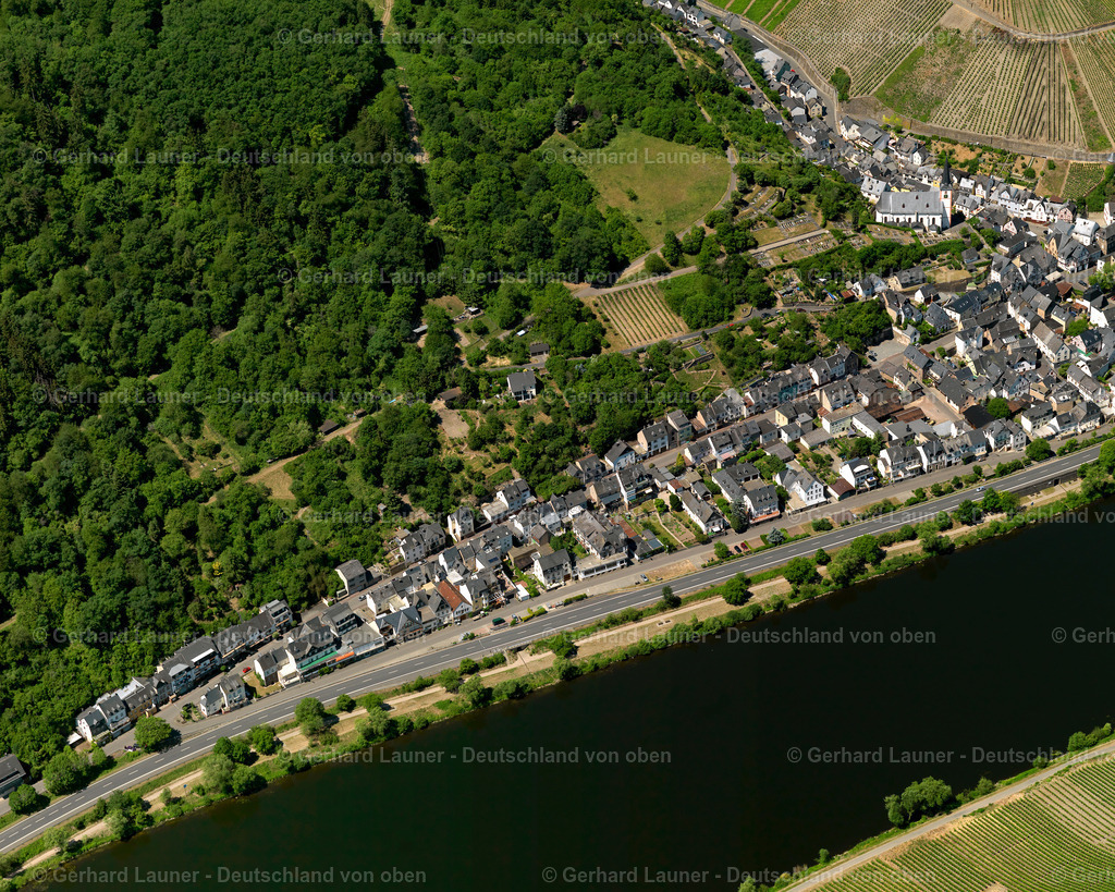 Briedel-3114431 | Briedel