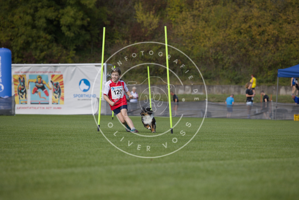 0L8A2781 | Hundefotografie, Tierfotograf, Pfotenfotografie, Fotoshooting Hund, Hunde Portrait, Hundesport, Hundeportraits, Heideshooting, Hunde, Sportfotograf, Hundefotograf, Turnierhundsport, THS,  - Realisiert mit Pictrs.com