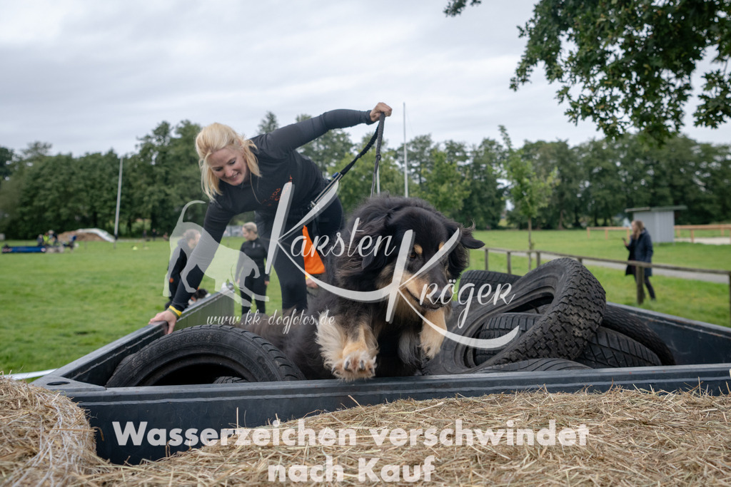 1201_ZZ93960 | kk-dogfotos