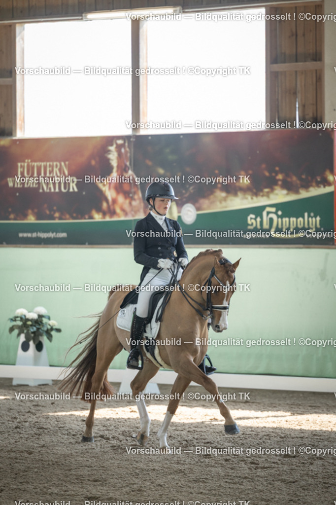 _D5A9444 | Emotionale Pferde- & People-Fotografie rund um Heidelberg, Leimen & Umgebung. Natürliche Fotos von Pferd, Mensch & Familie. Jetzt Termin sichern!