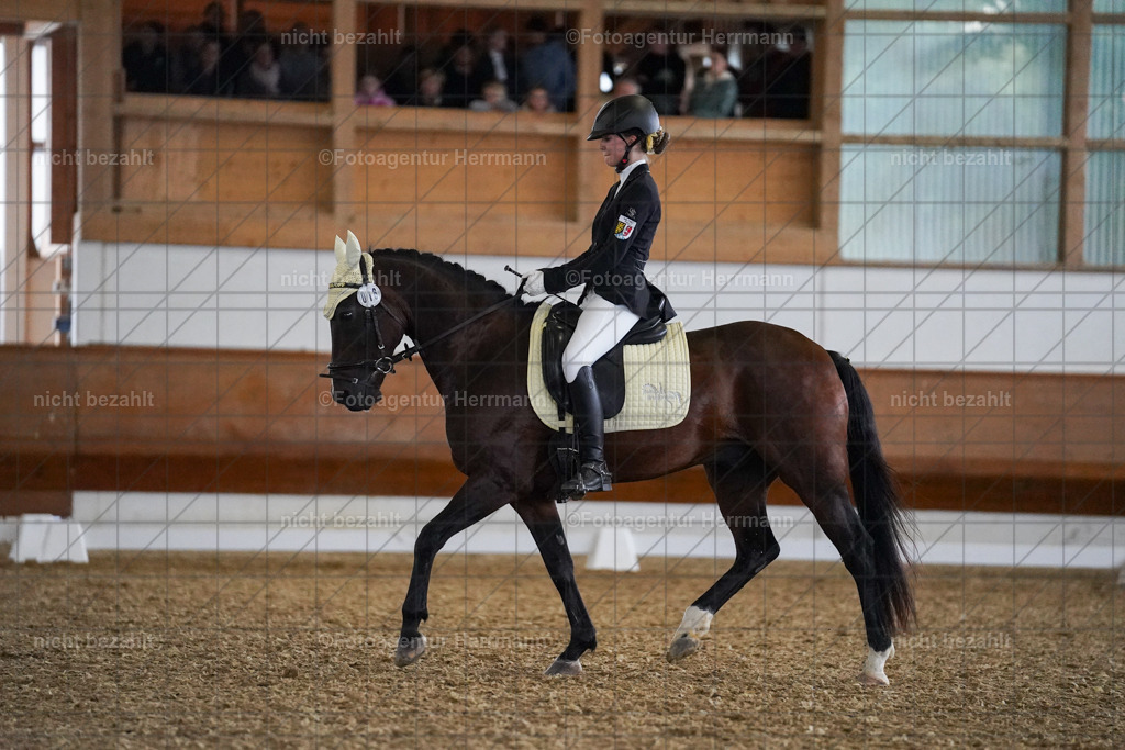 20240825-FAH09133 | Turnierbilder, Reitsportfotos, LAPO, Landesponyturnier, Turnierfotografen Bayern