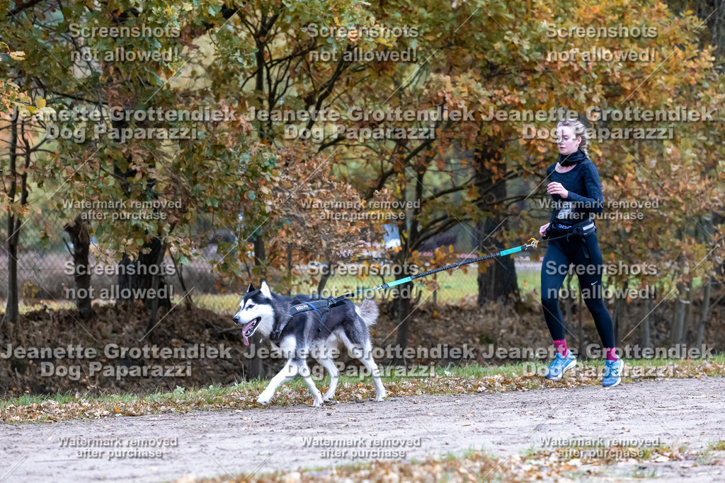 Dog Paparazzi - SD CaniX Championship 2025-335 | Dog Paparazzi Jeanette Grottendiek Fotografie & Videografie - Realisiert mit Pictrs.com