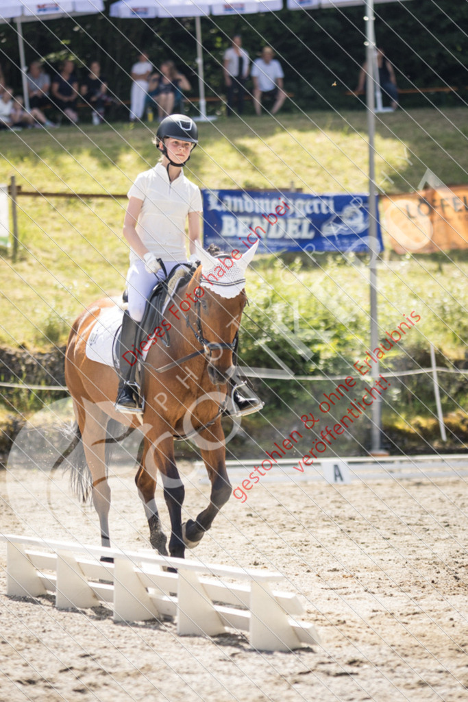 IMG_4677 | Sport-, Event- und Tierfotos in Profiqualität. Einfach auswählen, bestellen und herunterladen. Dein Moment – perfekt festgehalten.