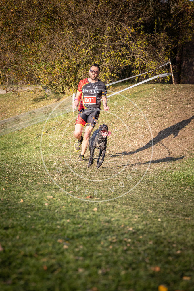 CaniXpix_0L8A0354 | Hundefotografie, Tierfotograf, Pfotenfotografie, Fotoshooting Hund, Hunde Portrait, Hundesport, Hundeportraits, Heideshooting, Hunde, Sportfotograf, Hundefotograf, Turnierhundsport, THS,  - Realisiert mit Pictrs.com