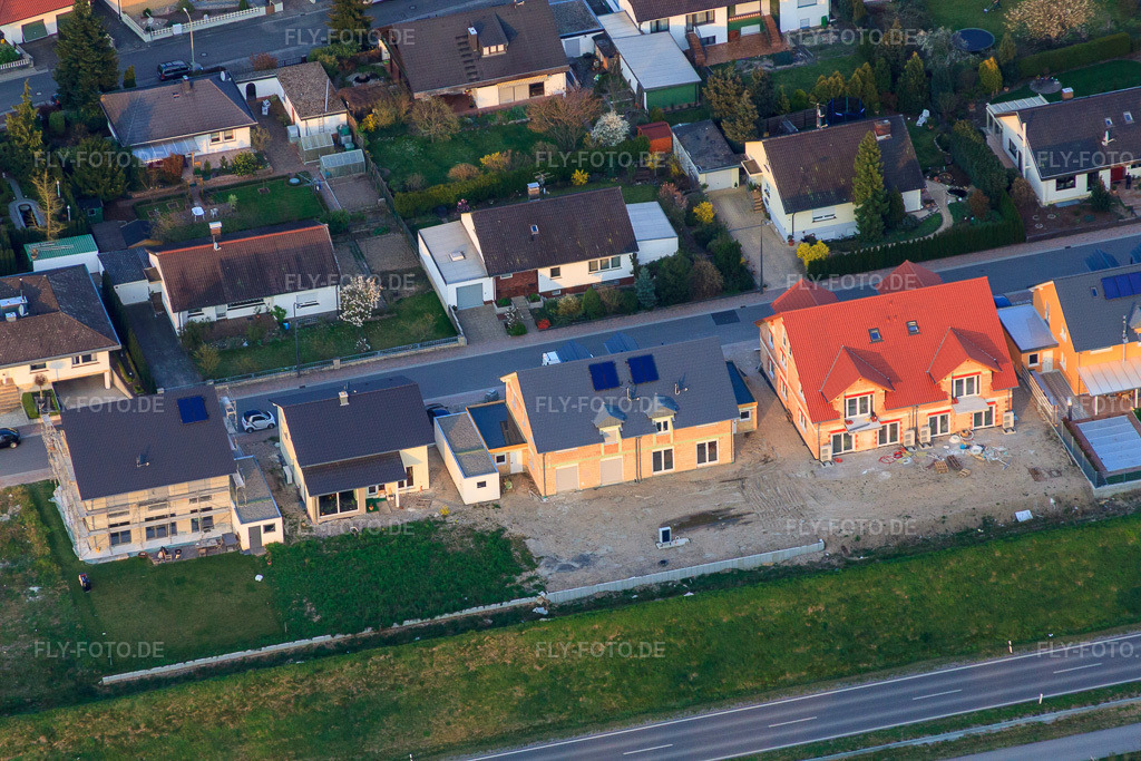 Luftbild: Forstlandalllee in Jockgrim im Bundesland Rheinland-Pfalz in Deutschland. Foto: IMG_63355.jpg vom 28.03.2014 durch Werner Riehm/FLY-FOTO.de