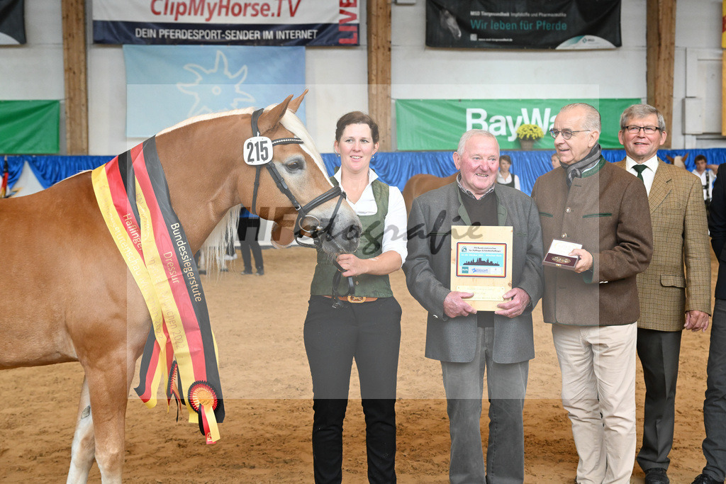 Kat-Nr. 215 Lady_Wagner_54224230 | hf-fotografie - Realisiert mit Pictrs.com