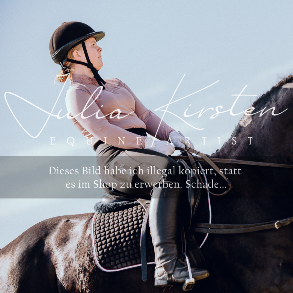DSC_7118 | Pferde- und Turnierfotografie in Westsachsen. Pferdeportraits, Auftragszeichnungen und intuitive Kunst.