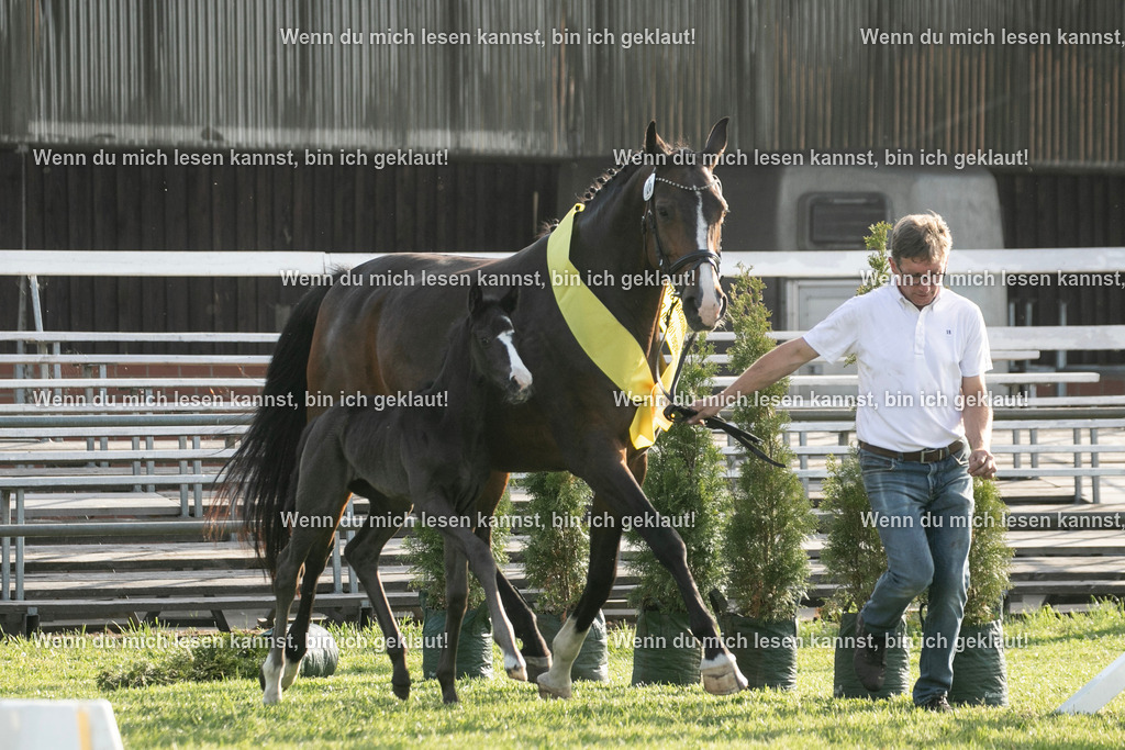 598A7532 | photographylinaismer - Realisiert mit Pictrs.com