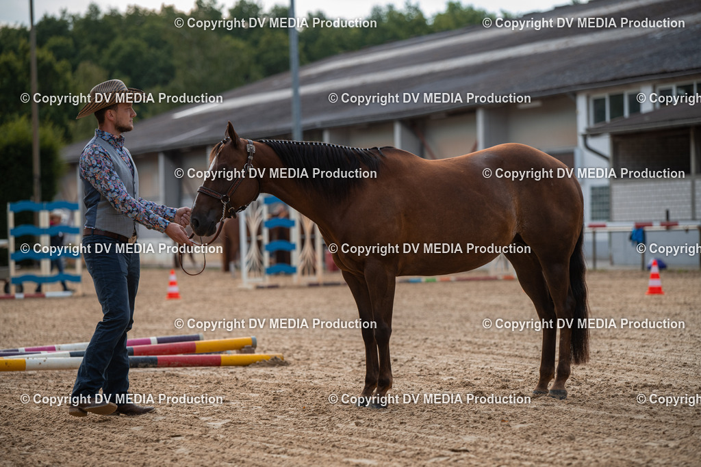 EWP_5534 | dv-media-shop - Realisiert mit Pictrs.com