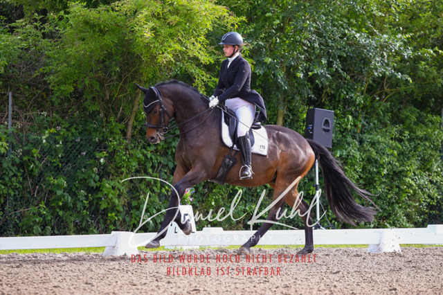 DKP41654 | Deine Turnierfotos vom Reitturnier online kaufen: Dressur, Springen & Siegerehrung. Professionelle Pferdefotografie aus dem Rheinland – als Download & Print.Alternative: Turnierfotograf für den Pferdesport: Finde deine Fotos von Dressur- und Springturnier