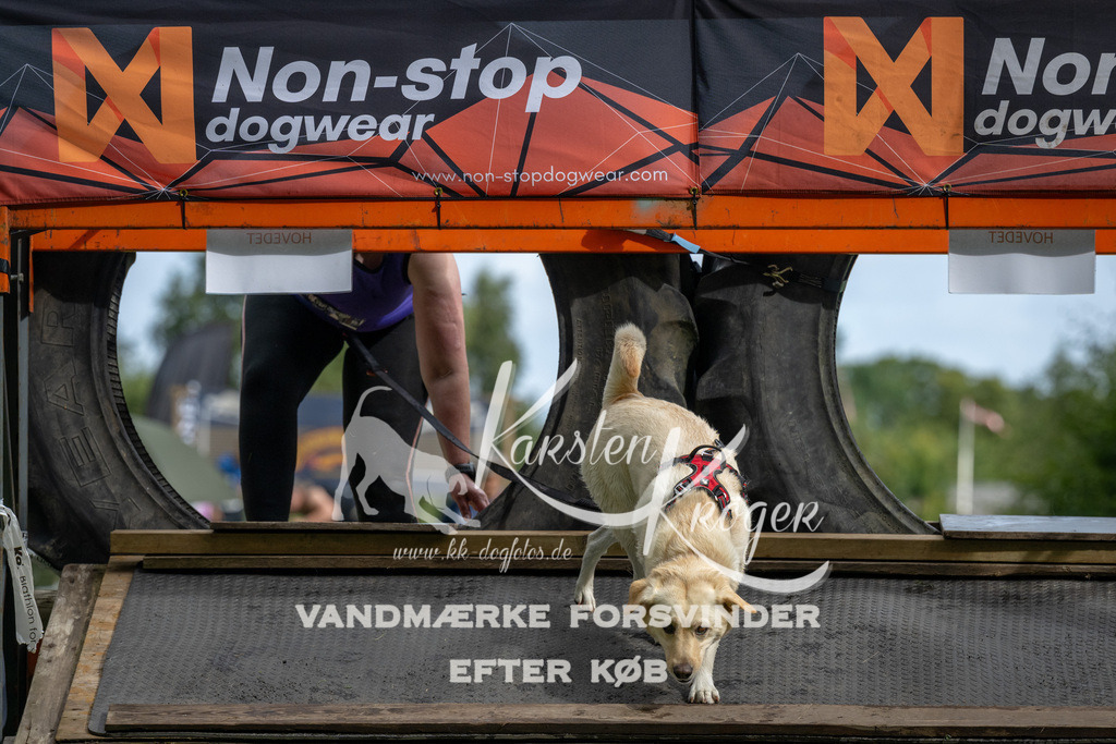 1031_ZZ91128 | kk-dogfotos