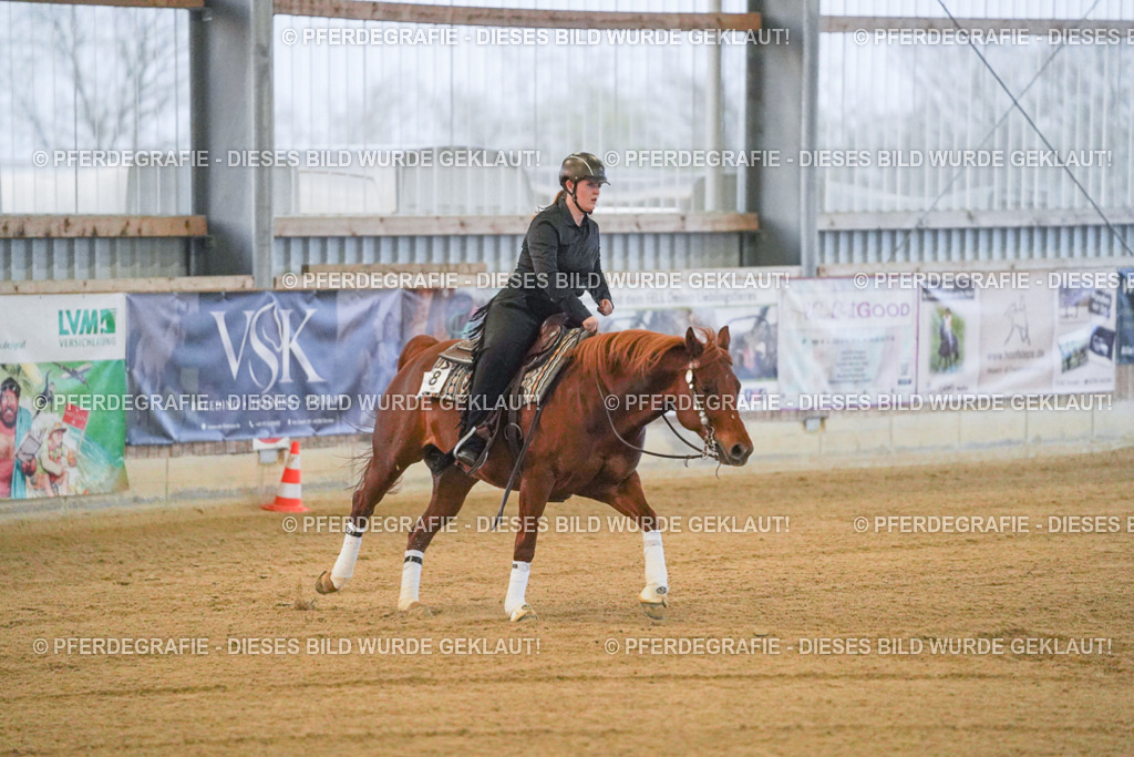 DSC09261 | Pferdegrafie