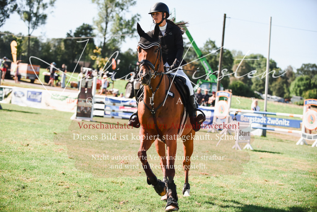 DSC_2440 | Pferde- und Turnierfotografie in Westsachsen. Pferdeportraits, Auftragszeichnungen und intuitive Kunst.