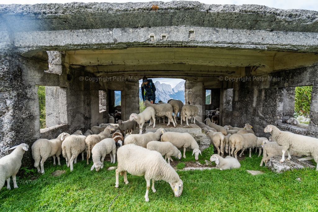 Prisank_Via_Ferrata-39 | piet_flosse