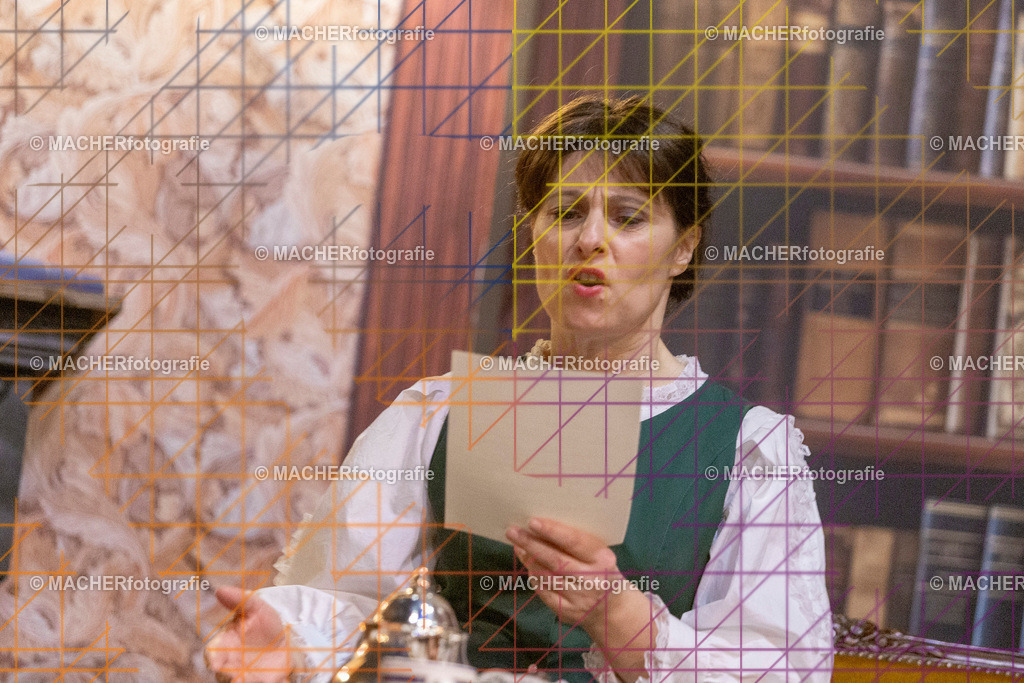 212_MFL-2025 | Portraitbilder von Regisseur; Darsteller; Techniker; Maske; Kostüme; Chor; Musiker; Bilderserie der Generalprobe und der Premierenvorstellung, Szenenbilder; Ausdrucksstudien; Bühnenüberblick; Bühnenkulissen; Pressefotos inkl. Redaktionsfoto Darstellergruppe.