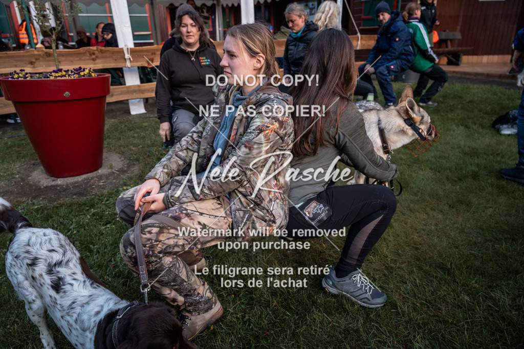 nelerasche_SaAbends_663 | nelerasche