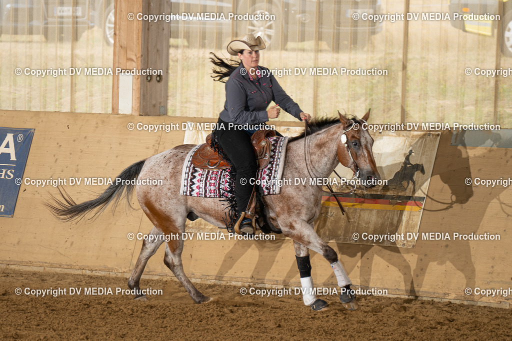 LAU01571 | dv-media-shop - Realisiert mit Pictrs.com