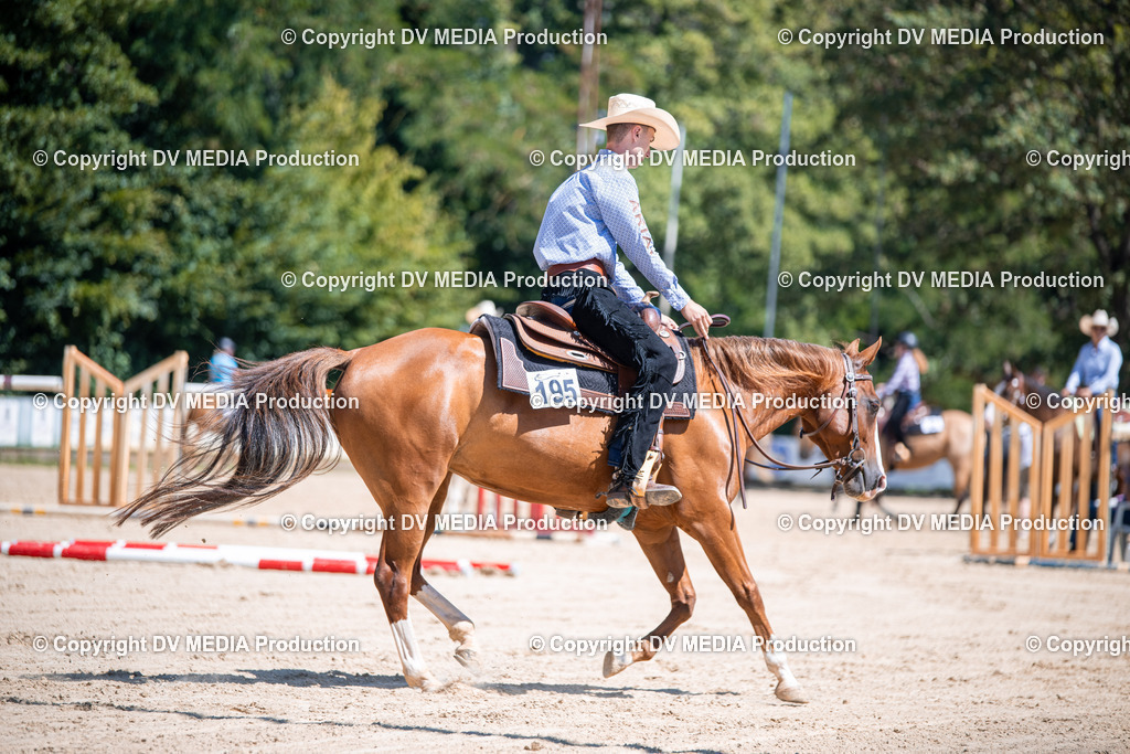 ZS1_1111 | dv-media-shop - Realisiert mit Pictrs.com