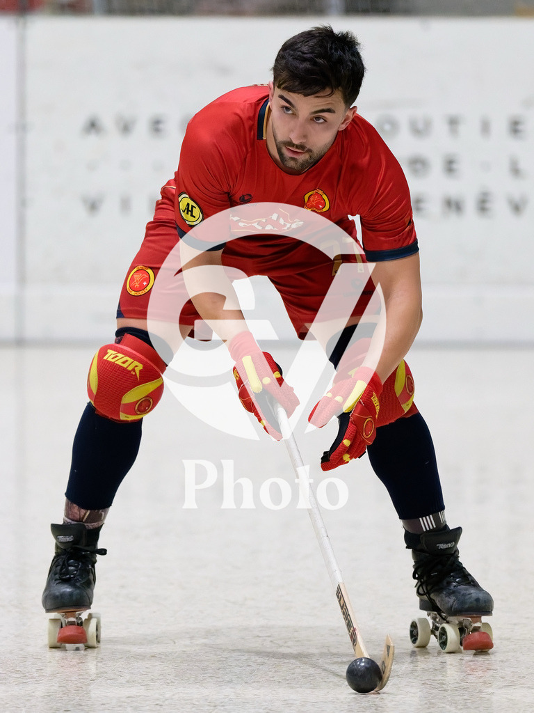 LNA  - Geneve RHC v RHC Diessbach  |  during the LNA  match between Geneve RHC and RHC Diessbach  at Centre sportif de la queue d'arve in Geneve, Switzerland