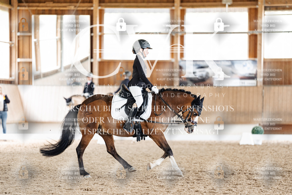 CK901463 | Turnierfotografie Pferdefotografie Trier Rheinland-Pfalz Pferdesport Reitsport Tierfotografie Sportfotografie Pferdevideo Pferdevideografie Equestrianvideography equestrianphotography  - Realisiert mit Pictrs.com