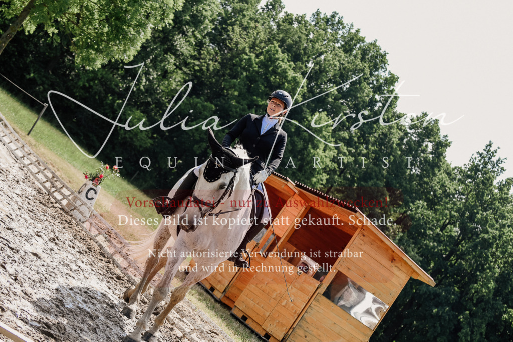 DSC_0385 | Pferde- und Turnierfotografie in Westsachsen. Pferdeportraits, Auftragszeichnungen und intuitive Kunst.