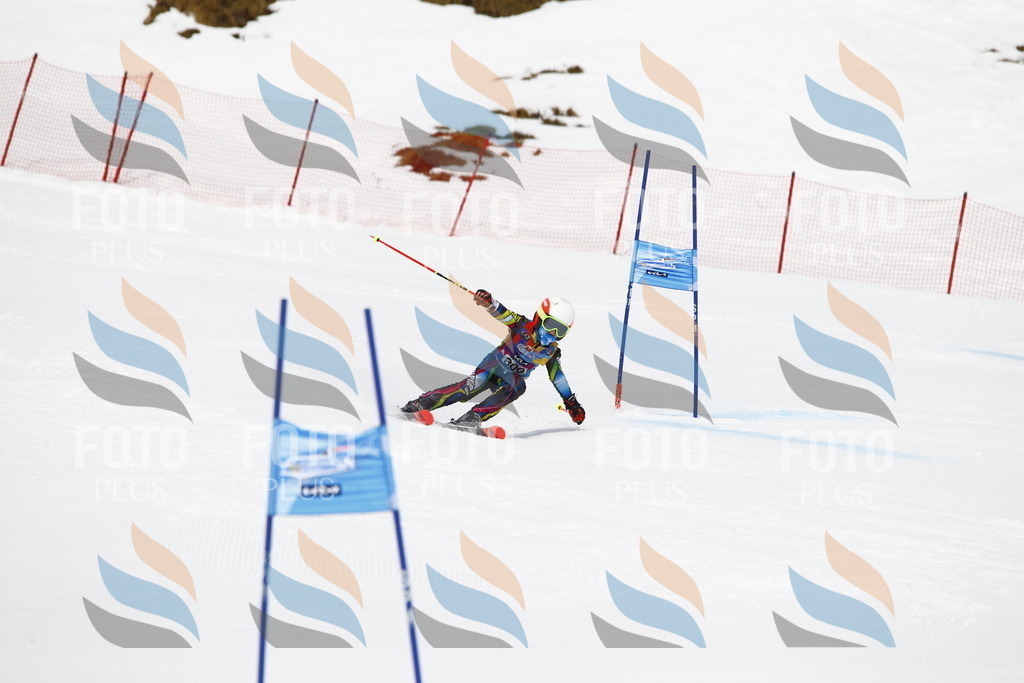 _U3G7461 | holidayphoto