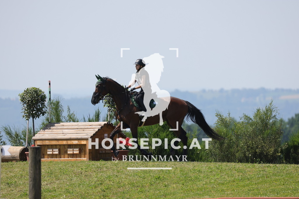 0P6A8023 | Willkommen bei Brunnmayr - Design & Fotografie – Ihrem Spezialisten für Reitturniere und Pferdeveranstaltungen in Oberösterreich, Salzburg und Bayern! Seit über 17 Jahren sind wir leidenschaftlich dabei.