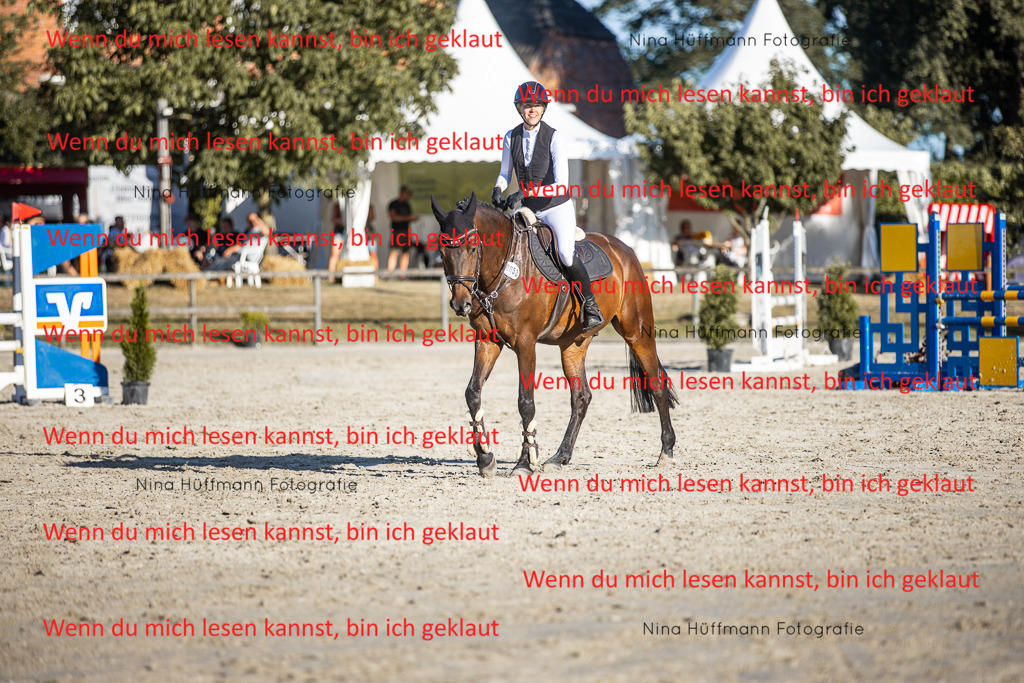 BK1A7810 | Turnierbilder Turnierfotos Nina Hüffmann Turnierfotografie Pferdefotografie Tierzeichnung Haustierzeichnung Pferdezeichnung Hundezeichnung Videograf  - Realisiert mit Pictrs.com