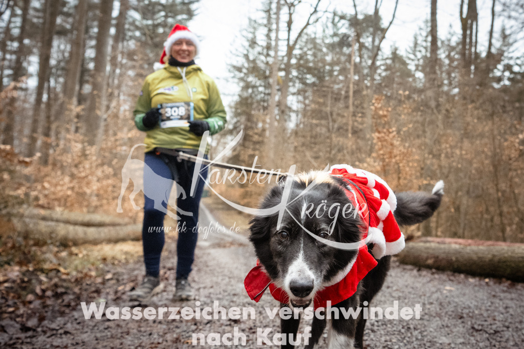 1139_ZZ91056 | kk-dogfotos