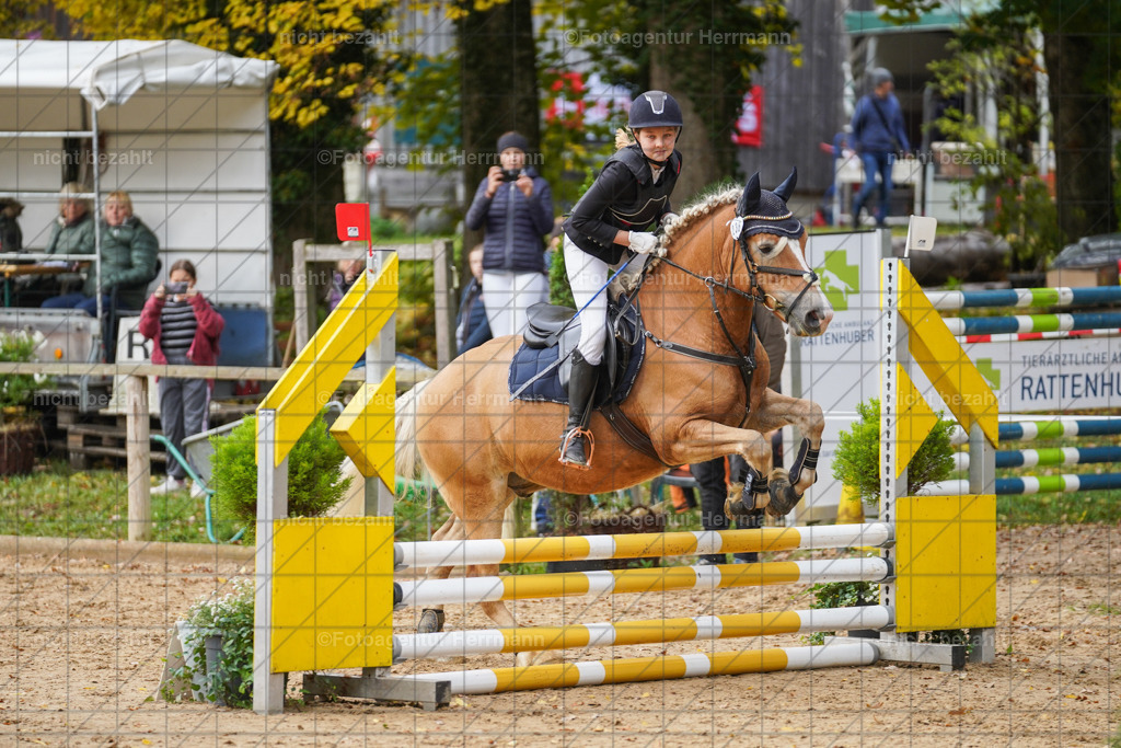 20221009-FAH08375 | Diessen am Ammersee, 2022, Dressur- und Springturnier, Reitsportbilder, Turnierfotografen Bayern, Pferdefotografen, Fotoagentur Herrmann, Turnierbilder