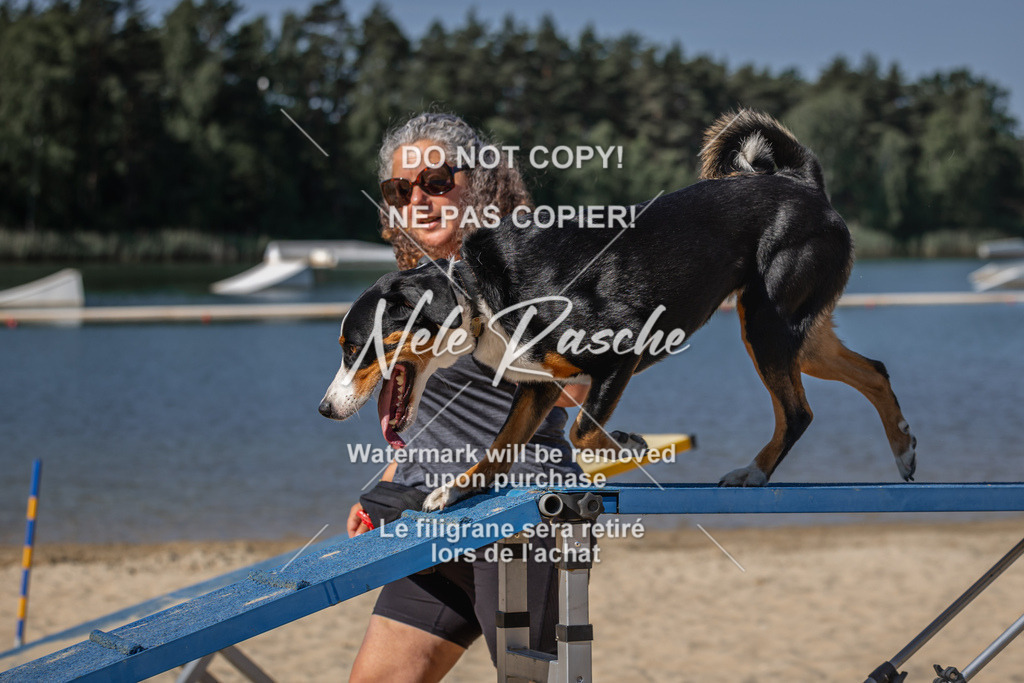 nelerasche_saBeachility_85 | nelerasche