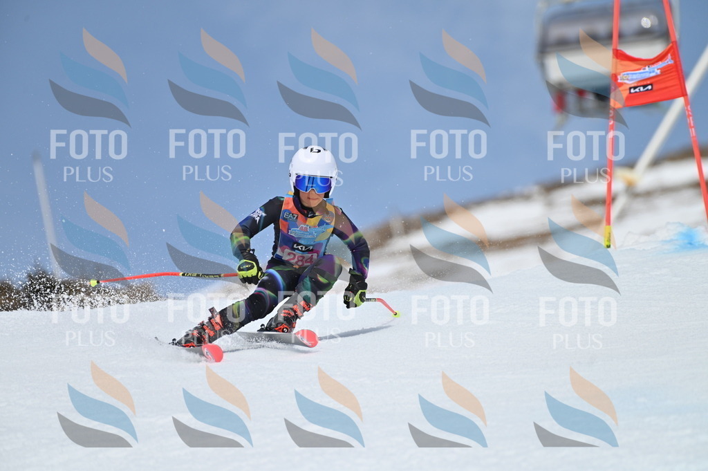 BGV_2482 | holidayphoto