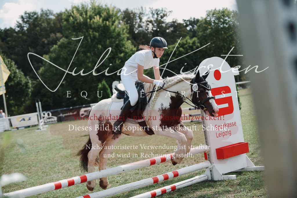 DSC_5639 | Pferde- und Turnierfotografie in Westsachsen. Pferdeportraits, Auftragszeichnungen und intuitive Kunst.