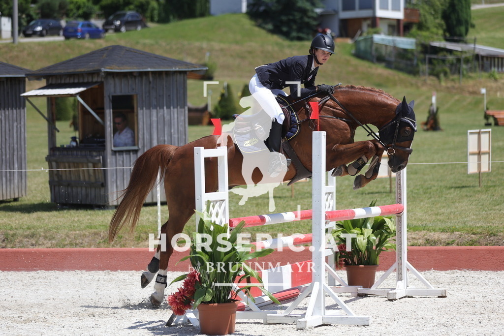 0P6A8894 | Willkommen bei Brunnmayr - Design & Fotografie – Ihrem Spezialisten für Reitturniere und Pferdeveranstaltungen in Oberösterreich, Salzburg und Bayern! Seit über 17 Jahren sind wir leidenschaftlich dabei.